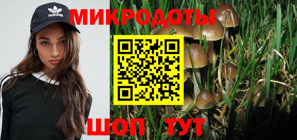 Псилоцибиновые грибы Psilocybine cubensis  Галлюциногенные грибы Cubensis  Вход с VPN  Всеволожск 