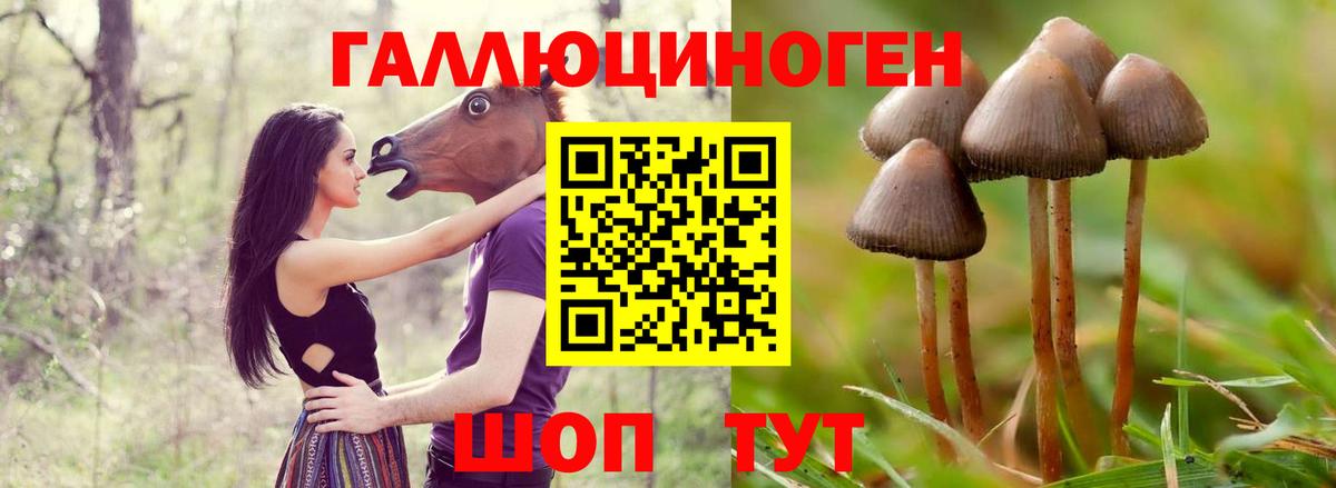 Псилоцибиновые грибы ЛСД Всеволожск